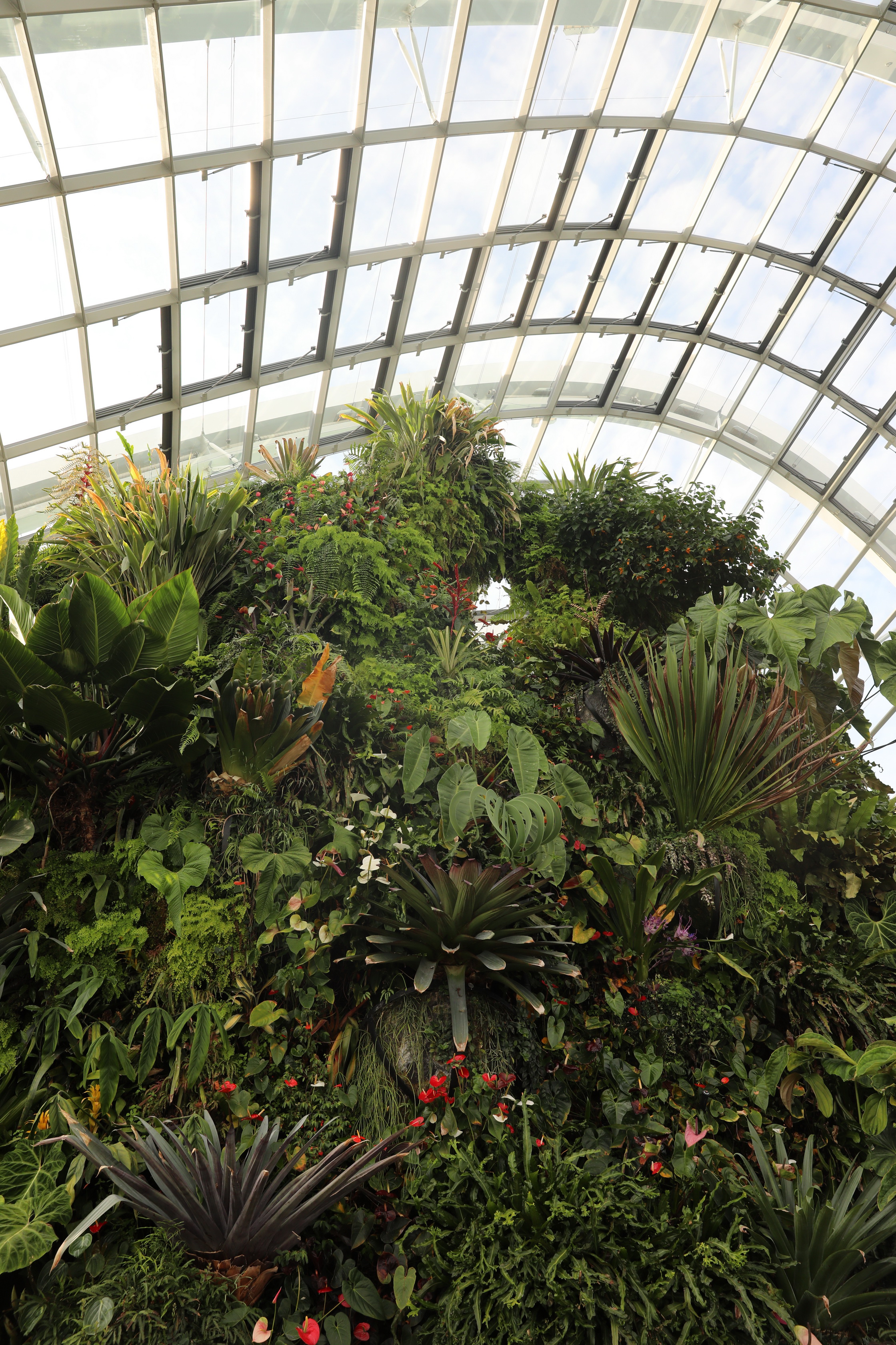 2020 02 03 17 39 32 Canon EOS 5D Mark IV 0046